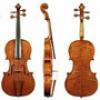 Đàn Violon / violin