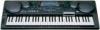 ĐÀN ORGAN CASIO CTK 731