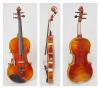 ĐÀN VIOLON