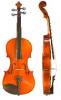 ĐÀN VIOLIN