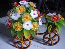 Hoa tự làm