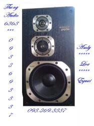 loa Pioneer bass 20