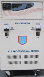 Bộ kích điện FTEX 1200W (2KVA)