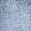 ĐÁ GRANITE SÂN VƯỜN CHỐNG TRƯỢT ĐÁ GRANITE SÂN VƯỜN CHỐNG TRƯỢT