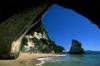 BRUNEI - NEWZEALAND
