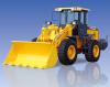 Xe xúc lật LW300F