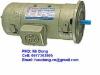 Motor điện, động cơ điện một chiều mặt bít, 0977302905 Motor điện, động cơ điện một chiều mặt bít, 0977302905