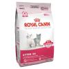 Kitten 36 (400gr)