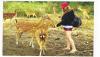 Www.Dulichnhatrang,Tour Đảo Khỉ Suối Hoa Lan