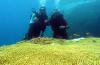 KHUYẾN MẠI CHƯƠNG TRÌNH TOUR 4 ĐẢO KHI ĐI TOUR LẶN BIỂN NHA TRANG. CÔNG TY-THHH TM DV & DU LỊCH 4 ĐẢO Nha Trang city Touris Booking office 1L.Hùng Vương Nha Trang-khánh Hòa Info:Nguyễn Hoàng Sang Hotline:0932.55.52.59 Fax:058.3820720-ĐT:058.6531077 Email: