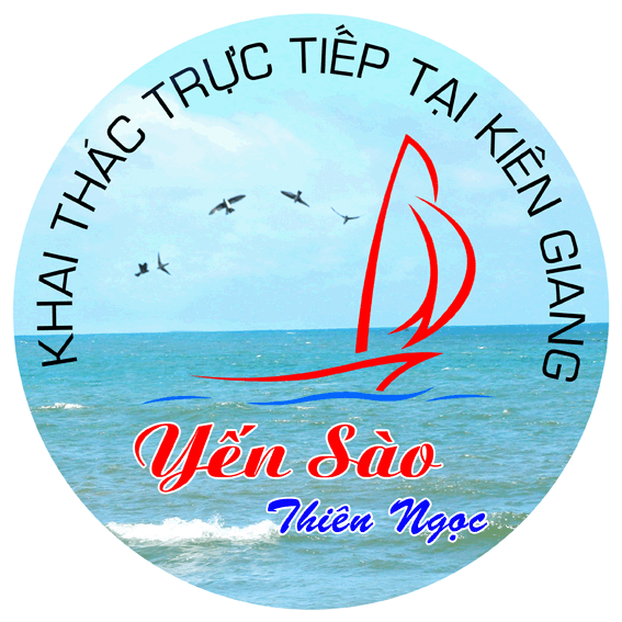 Cung Cấp Yến Thô Nguyên Tổ Khai Thác Tại Kiên Giang
